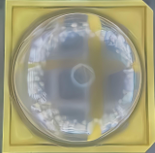 LM218QQA