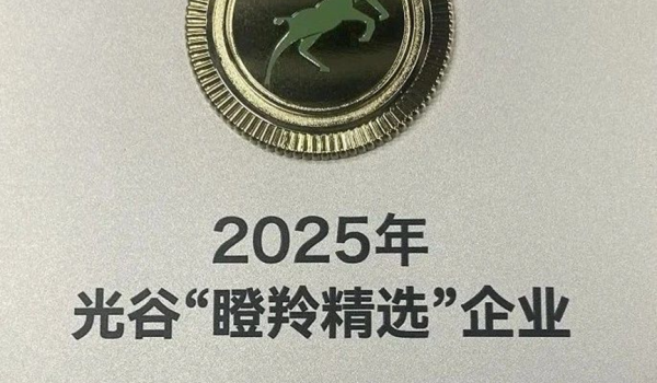Good News | UVLEDTEK was awarded the first Optics Valley "Selected Gazelle" enterprise